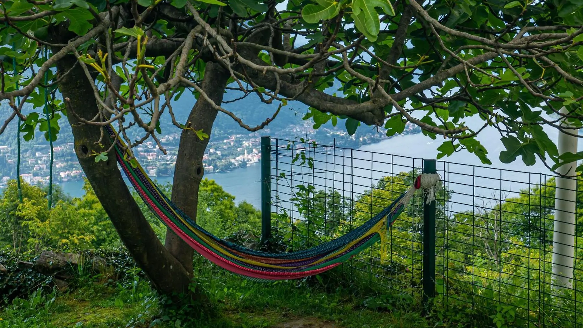 Bed & Breakfast Essentia Guest House Faggeto Lario